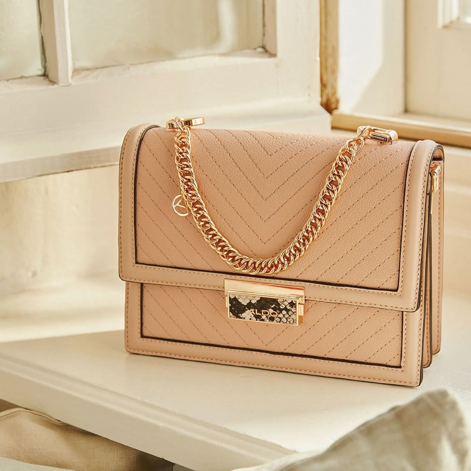 Aldo Laisbyyx Cross Body Bag