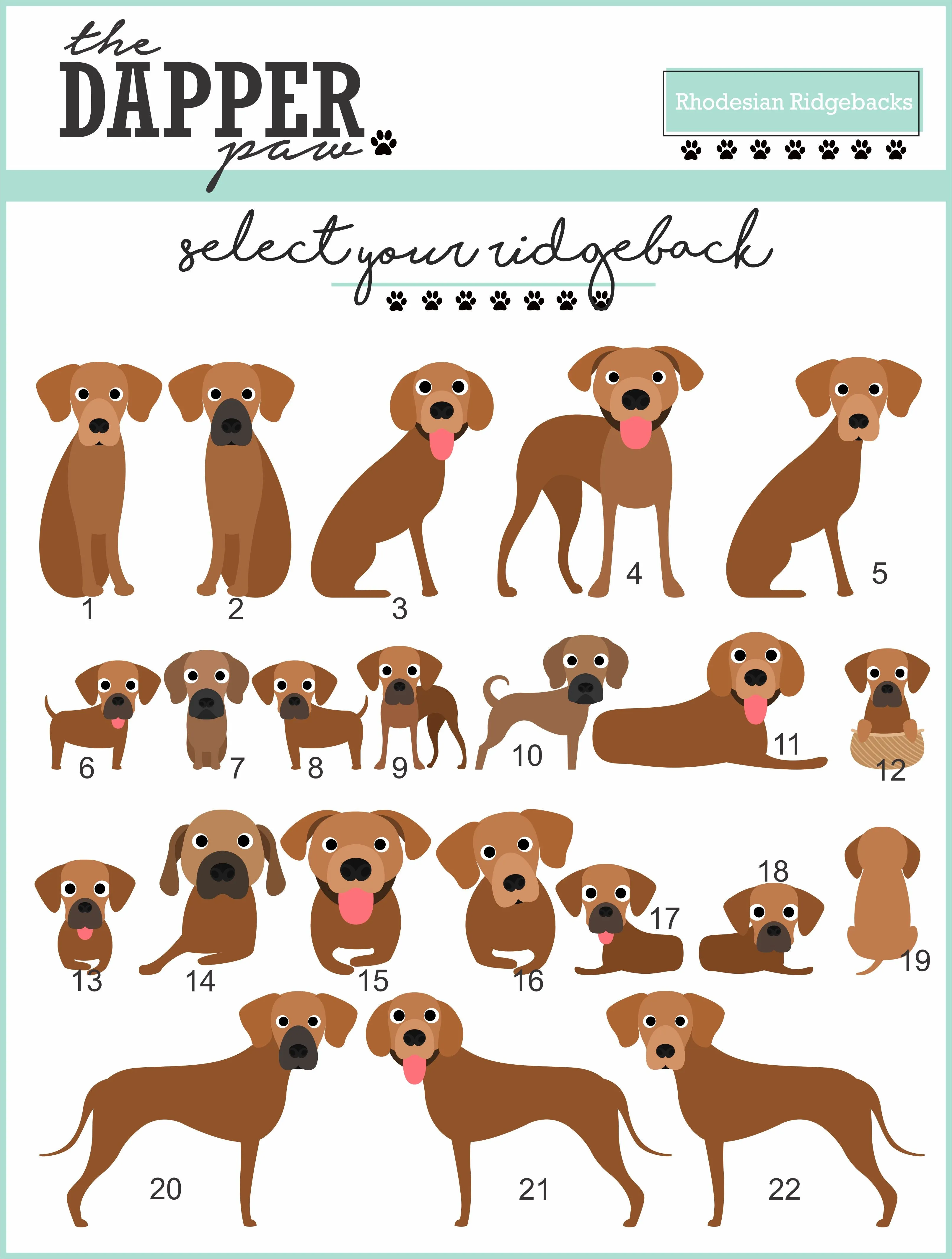 ALL BREEDS - Single Pet Cartoon Ornament