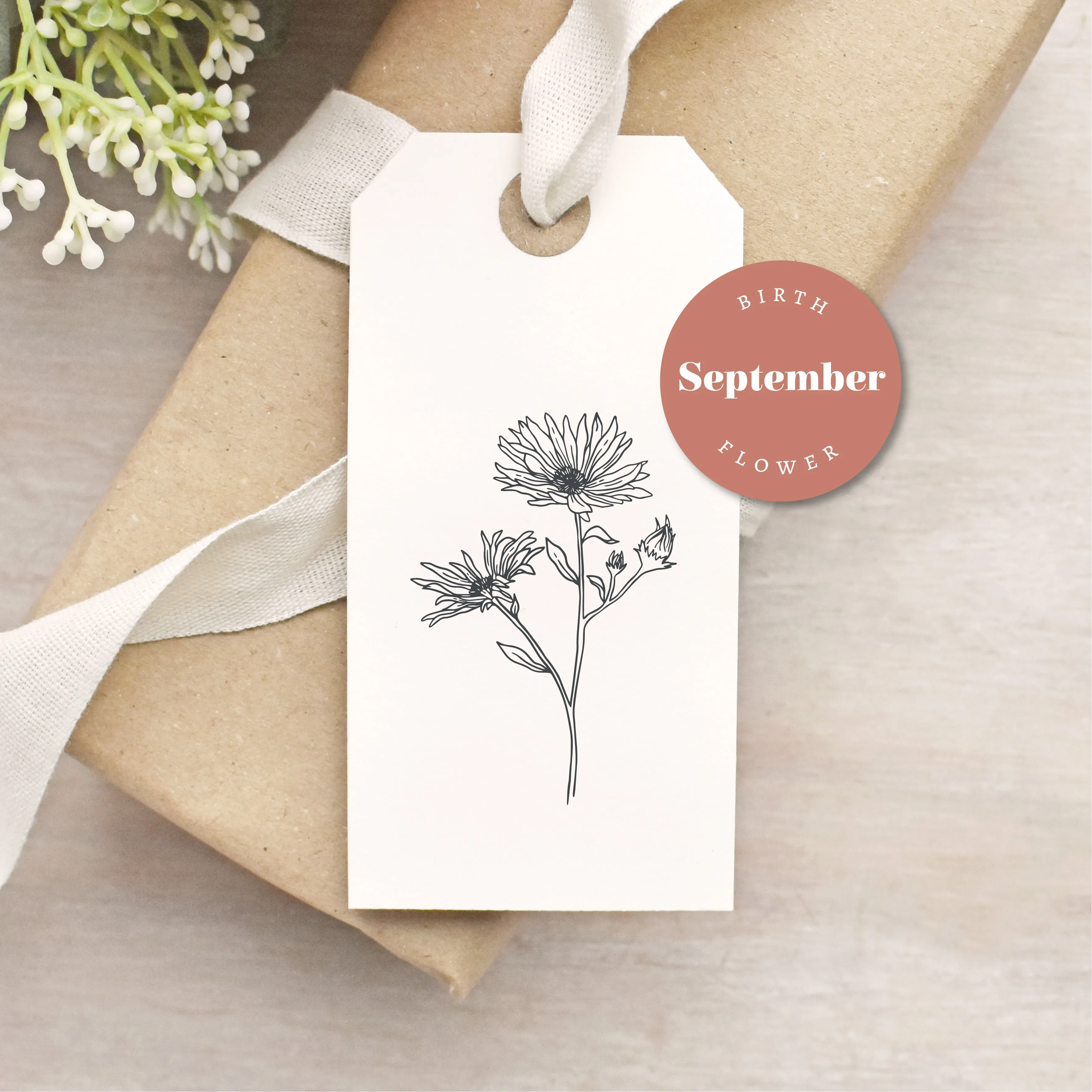 Aster Flower Rubber Stamp | September Birth Flower