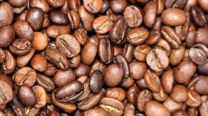 Breakfast Blend - 1 LB Coffee Bag