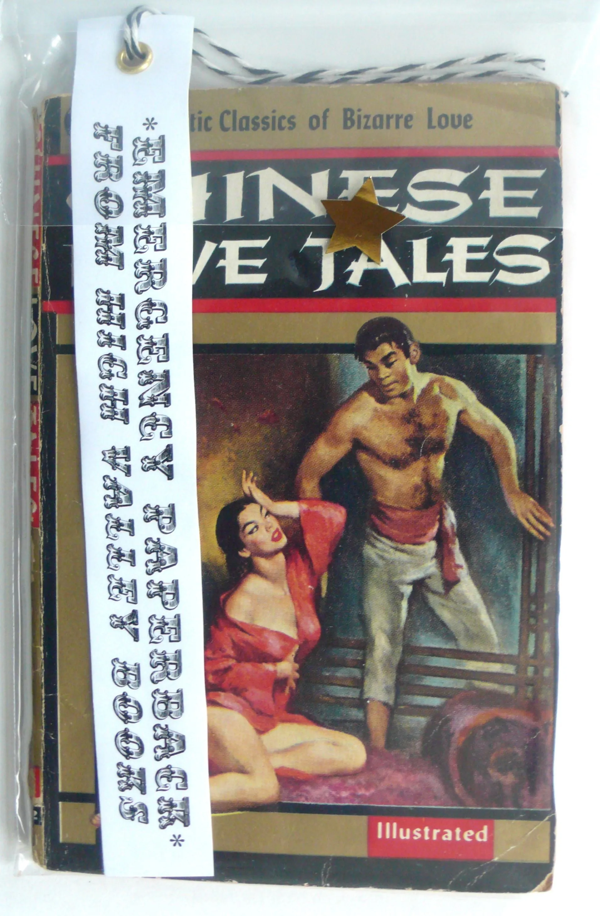 Chinese Love Tales