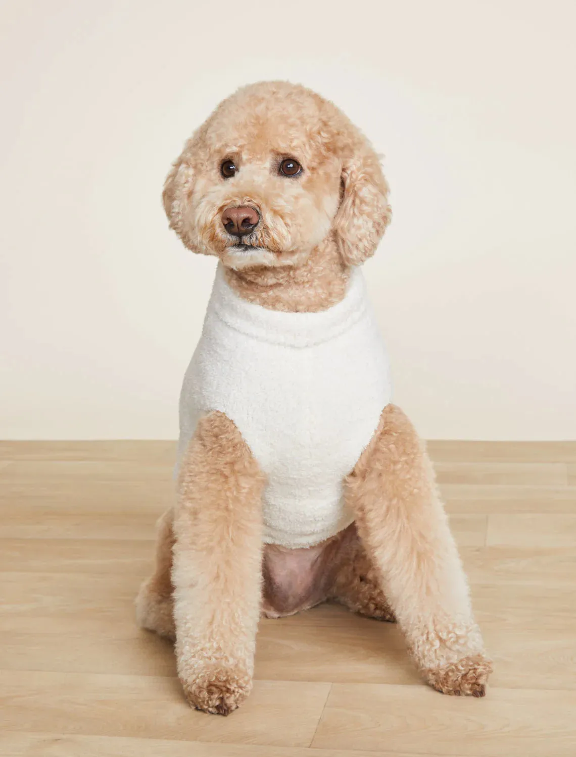 Cozychic Longhorn Skull Pet Sweater