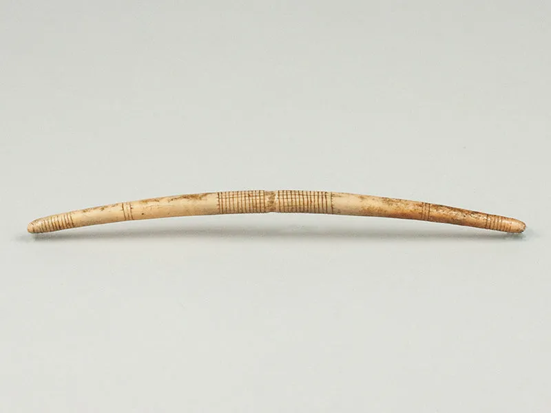 Fossilized Walrus Ivory Bag Handle