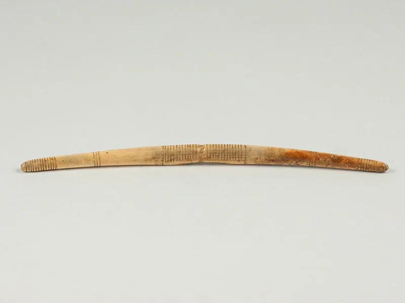 Fossilized Walrus Ivory Bag Handle