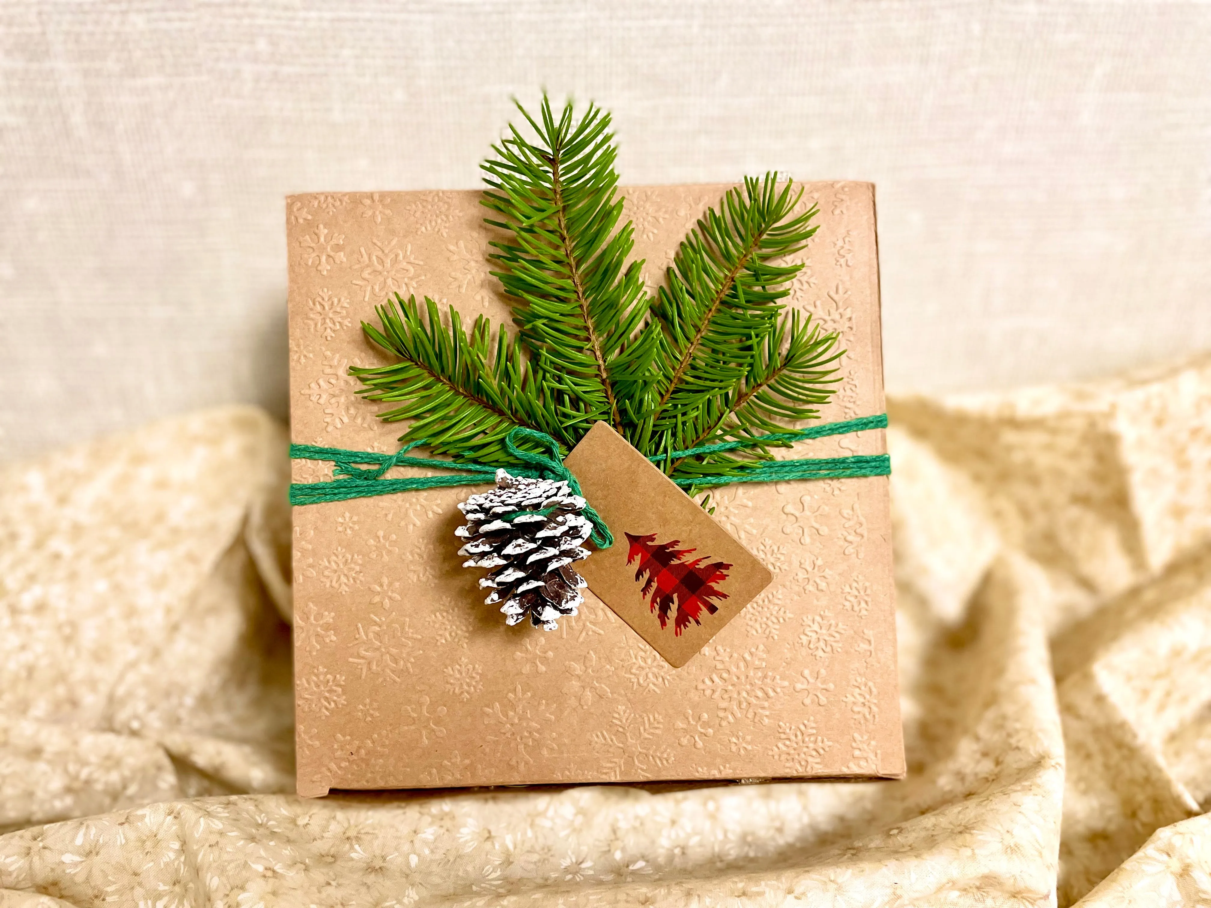Holiday Package - 3 products