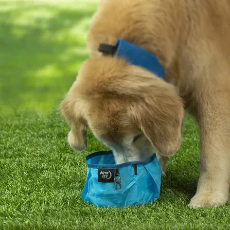 Nite Ize - Raddog Collapsible Bowl