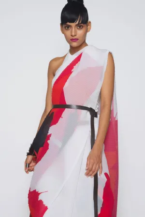 Printed Pleated Sari