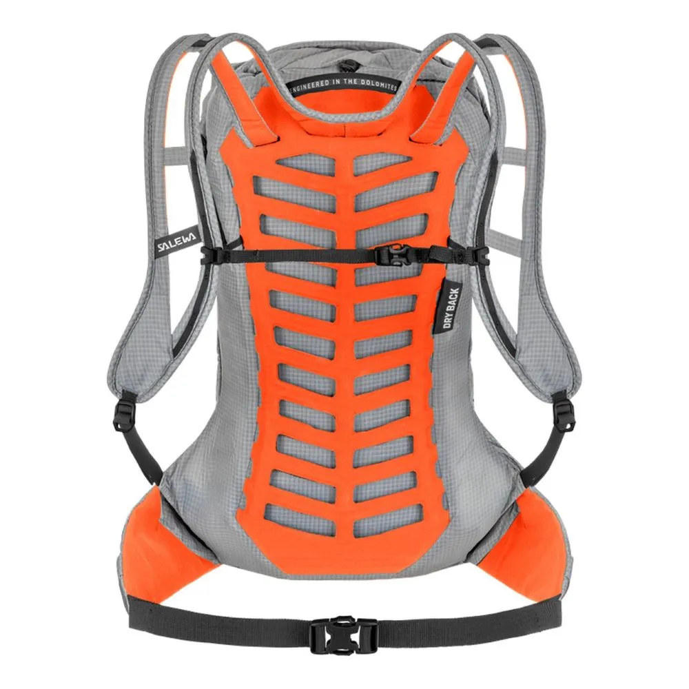 Salewa Pedroc Pro 22 Backpack
