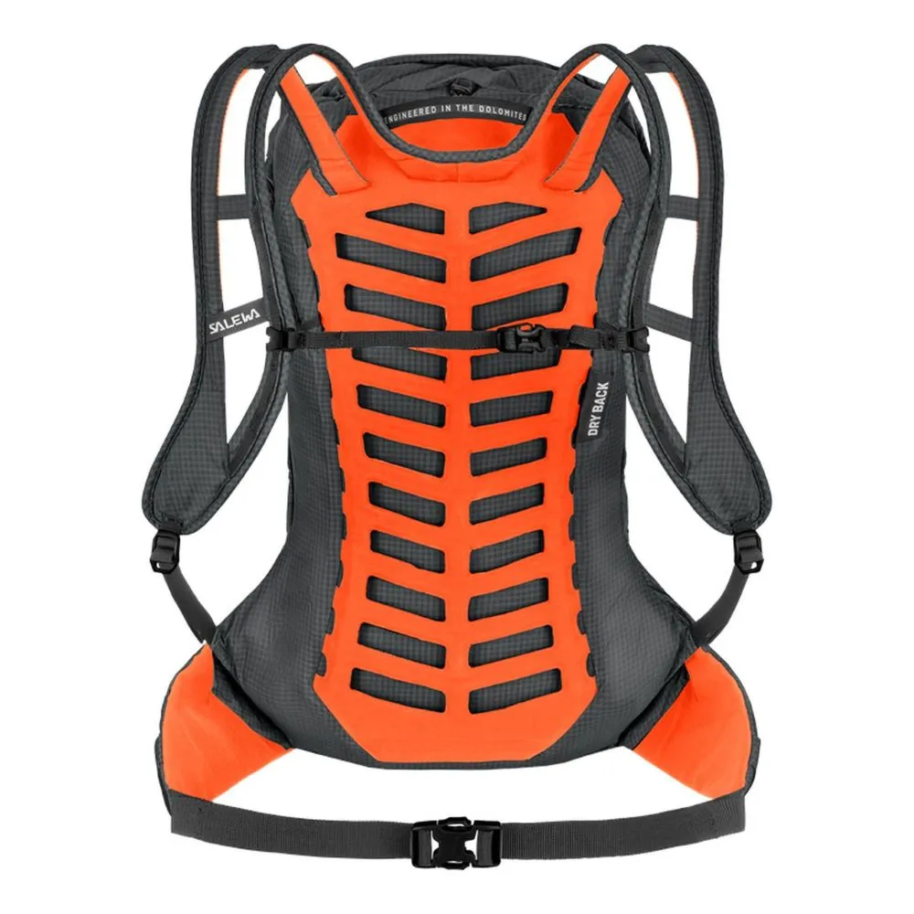 Salewa Pedroc Pro 22 Backpack