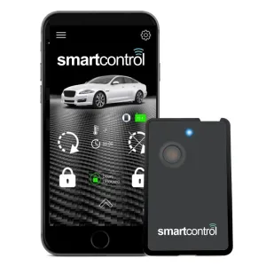 SmartControl RFK6000 2-Way Credit Card Remote
