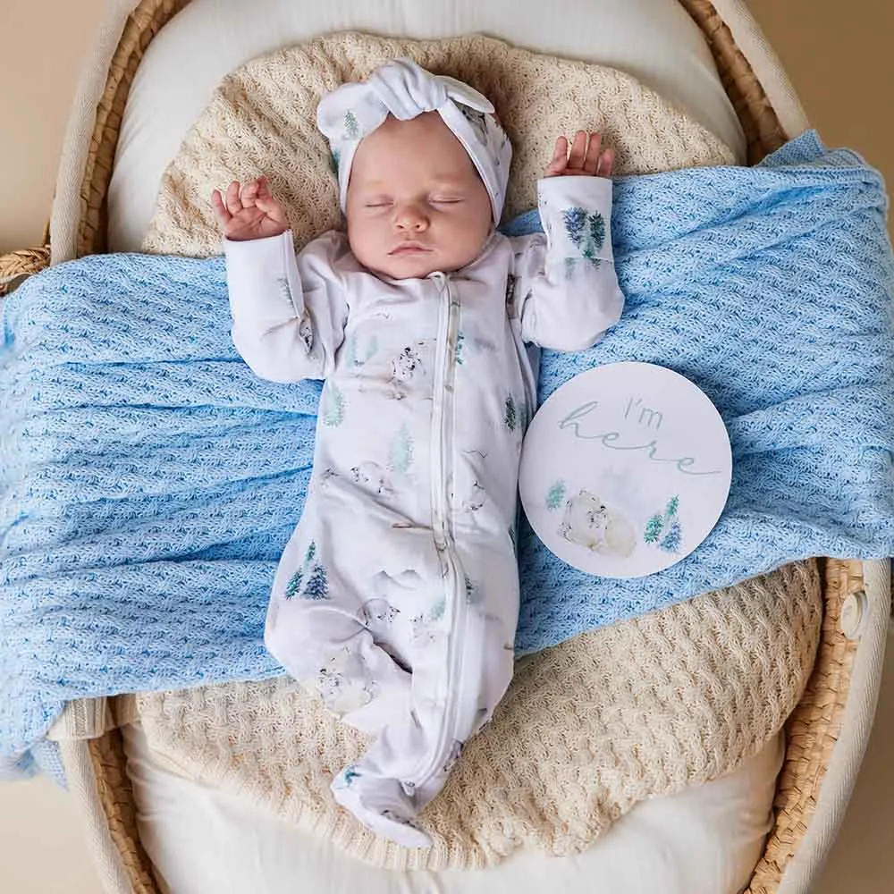 Snuggle Hunny- Arctic Organic Snuggle Sleepsuit Zip Footie